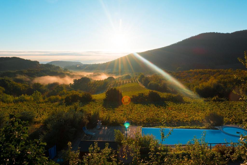 Agriturismo Il Serraglio Montepulciano Ngoại thất bức ảnh